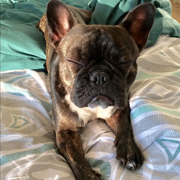 Meet your Posher, Kathy - Picture 8 of 8